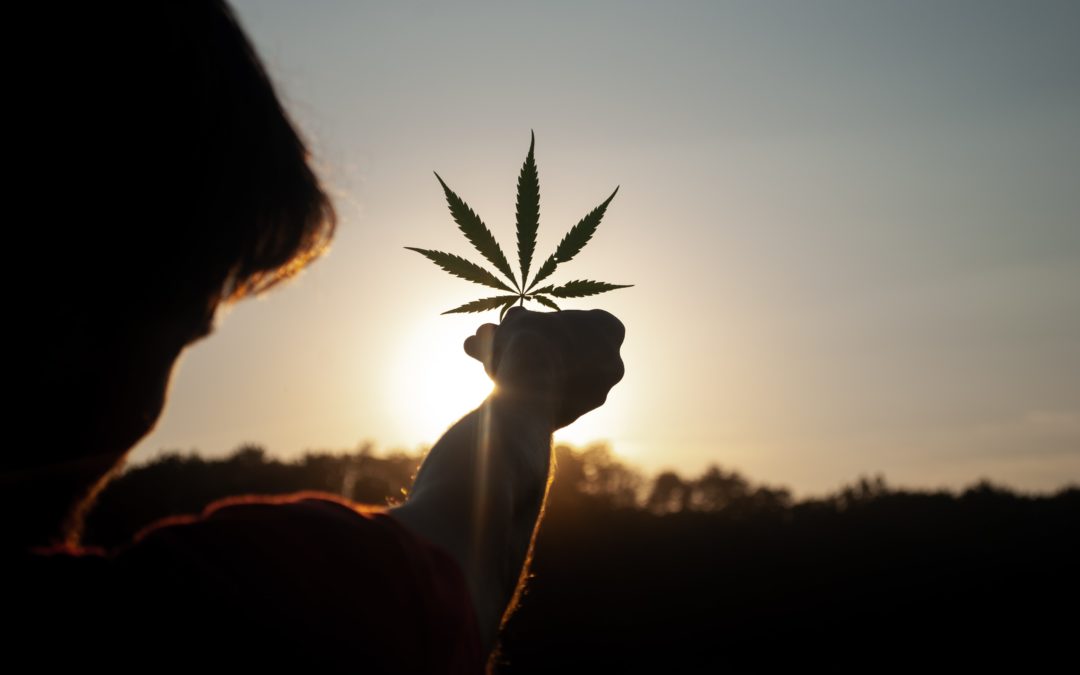 Réduire les risques du cannabis